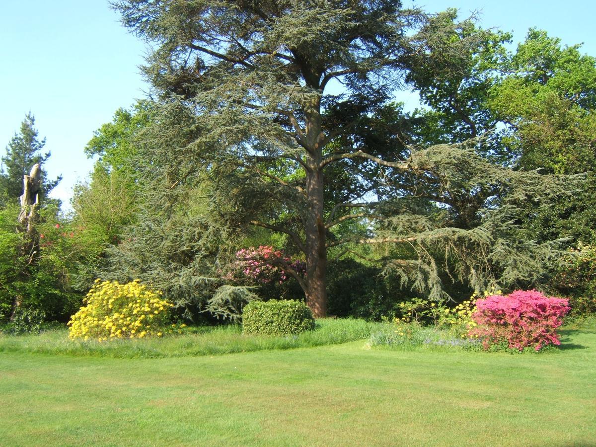 Hollybank House Bed & Breakfast Emsworth Eksteriør bilde